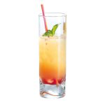 Duke Glass 270 ml set of 6-Durobor